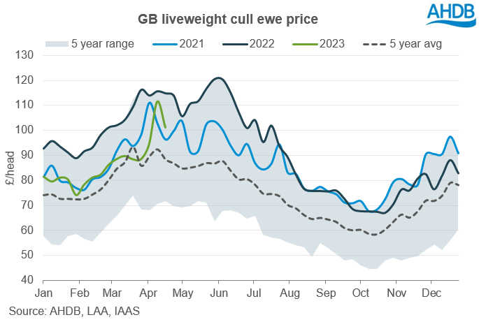 line graph tracking liveweight cull ewe prices